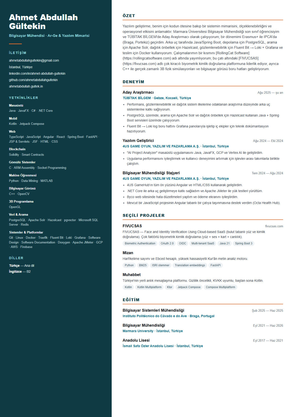 Ahmet Abdullah Gültekin CV önizlemesi